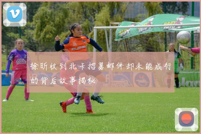 徐昕收到北卡招募邮件却未能成行的背后故事揭秘